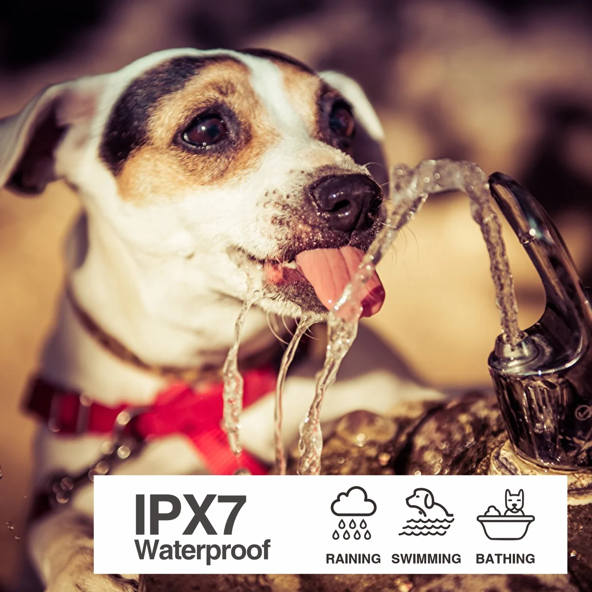 DB700A IPX7 waterproof bark collar for raining, swimming and bathing