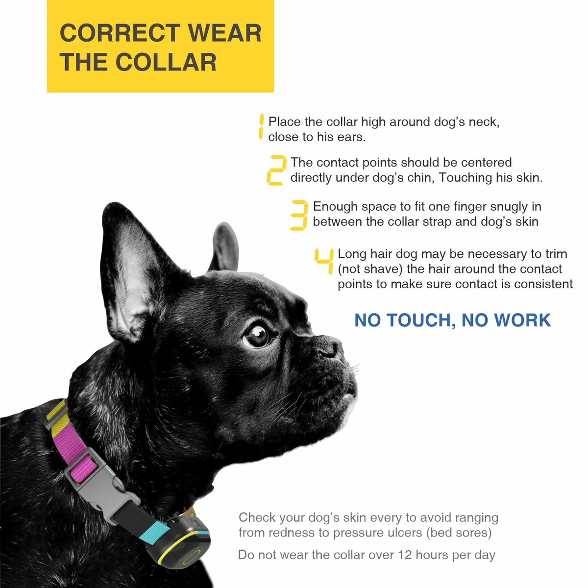 Correct way to fit the DB900S dog training collar and position the contact points