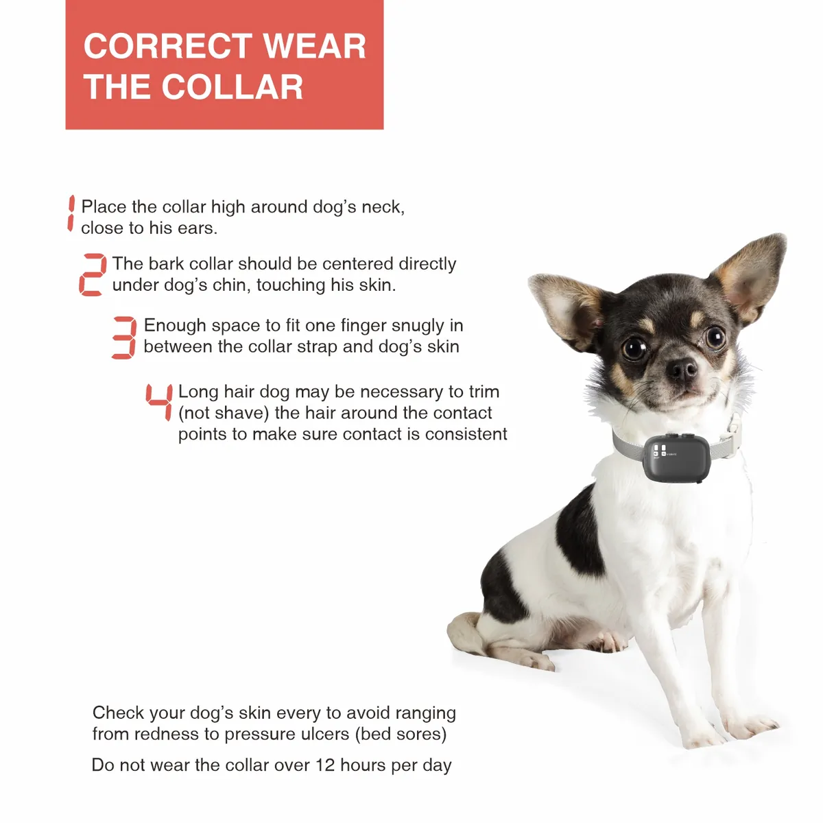 Correct way to wear the DB200 bark collar - StarNavi OEM bark control collar manufacturer