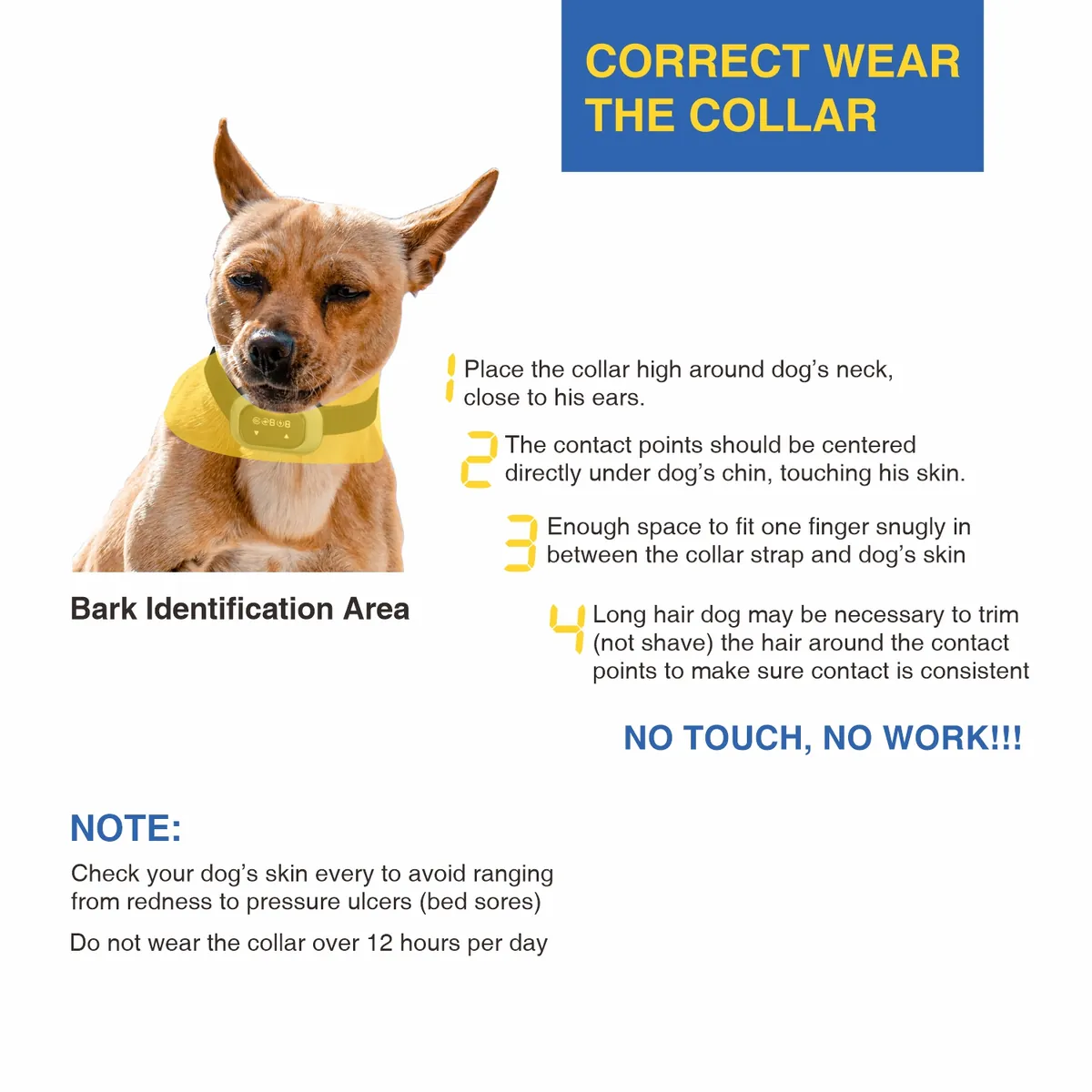 Correct way to wear the DB300A bark collar - StarNavi OEM bark control collar manufacturer