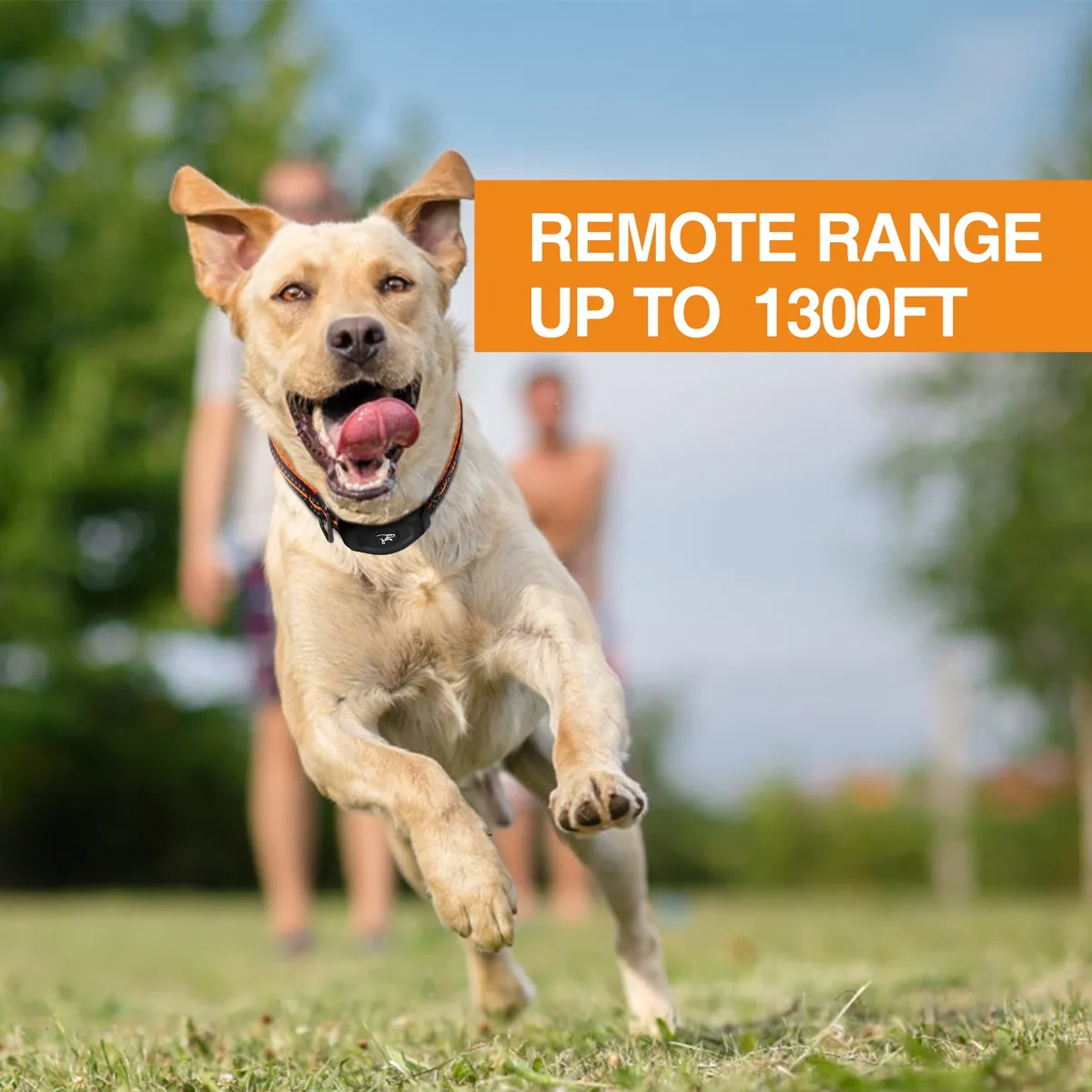 DB400S remote dog training collar with range up to 1300 ft - StarNavi OEM e-collar factory