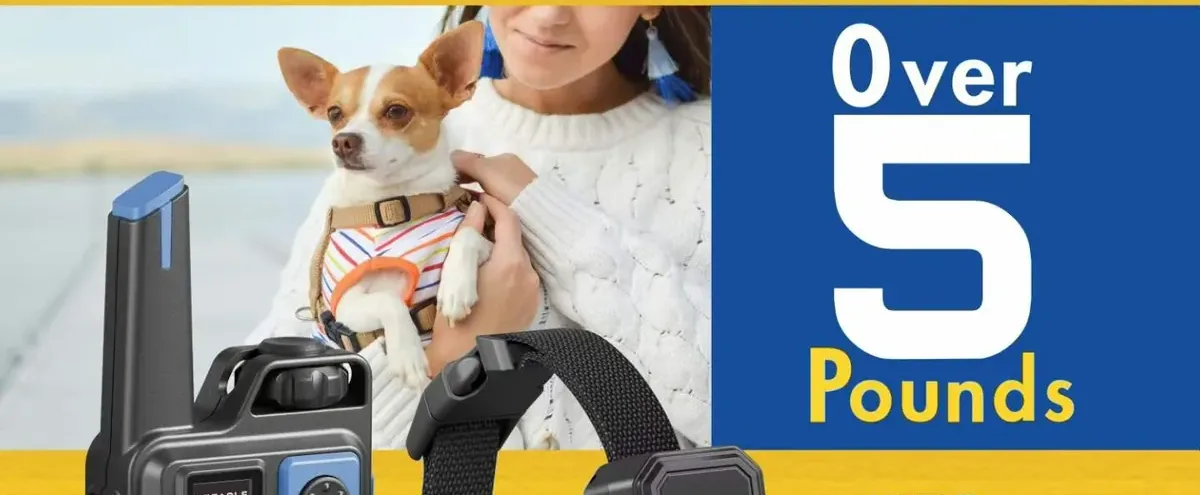OEM remote dog training collar vs auto bark collar comparison for pet brands