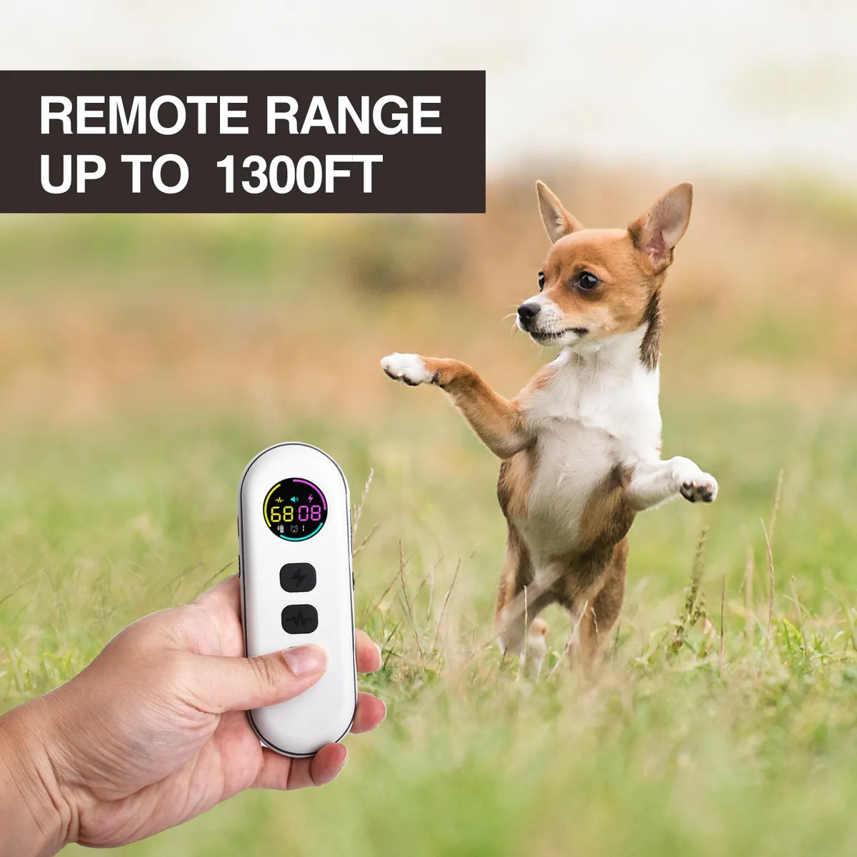 DB900X remote training collar with remote range up to 1300 ft - StarNavi OEM e-collar factory