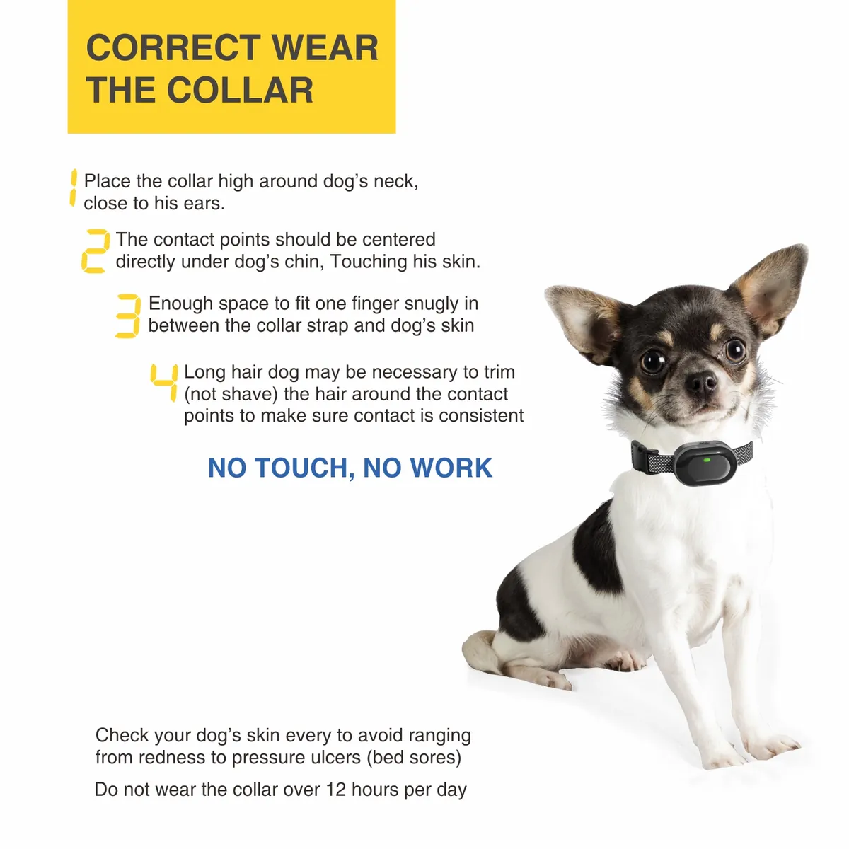 Correct way to wear the DB900X training collar - StarNavi OEM dog training collar manufacturer
