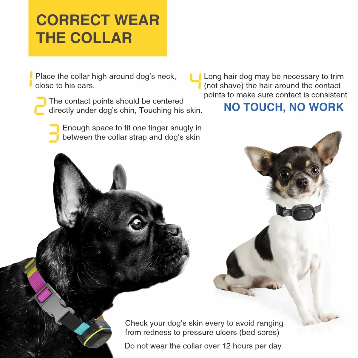 Correct way to wear the DB900XS training collar - StarNavi OEM dog training collar manufacturer